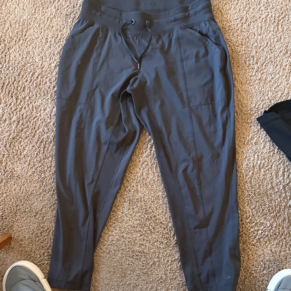 Champion Dark Gray nylon pants